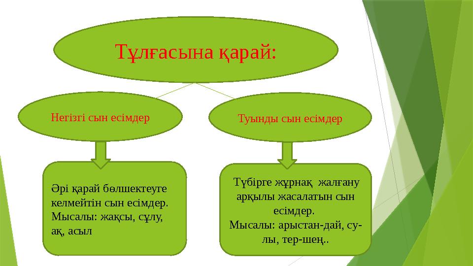 Т ұлғасына қарай: Негізгі сын есімдер Туынды сын есімдер Әрі қарай бөлшектеуге келмейтін сын есімдер. Мысалы: жақсы, сұлу, ақ