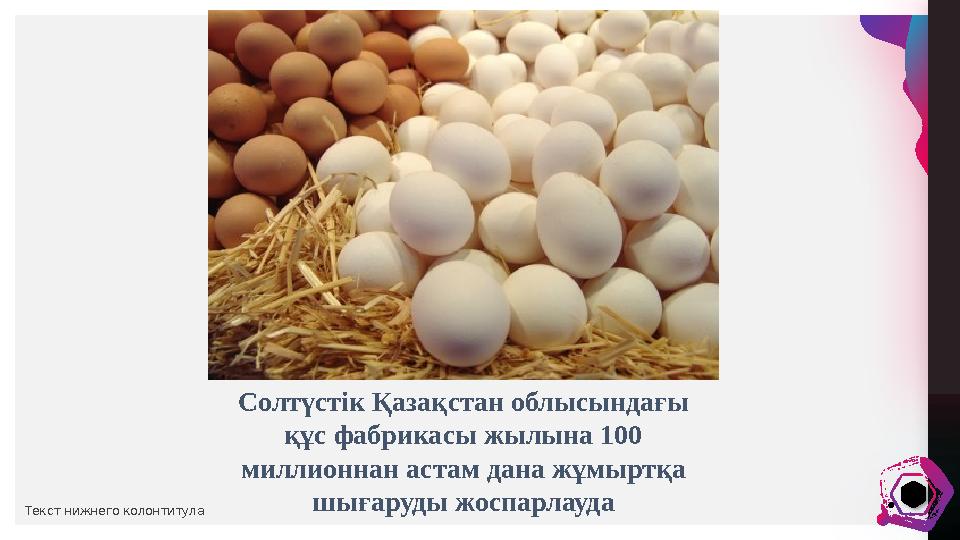 И в а н В о р о н к о в Текст нижнего колонтитула Солтүстік Қазақстан облысындағы құс фабрикасы жылына 100 миллионнан