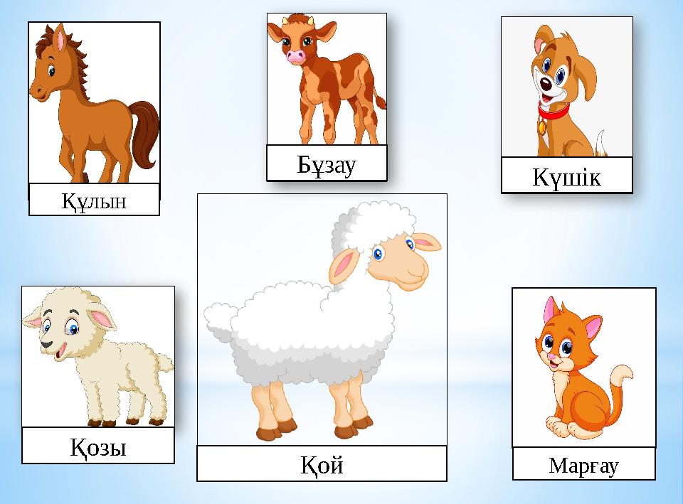 Онлайн порно жеке пентхаус 8 қарсаңында Аналарымен порно фильмдер көру