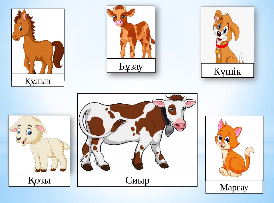 Құлын Бұзау Күшік Қозы Марғау Сиыр