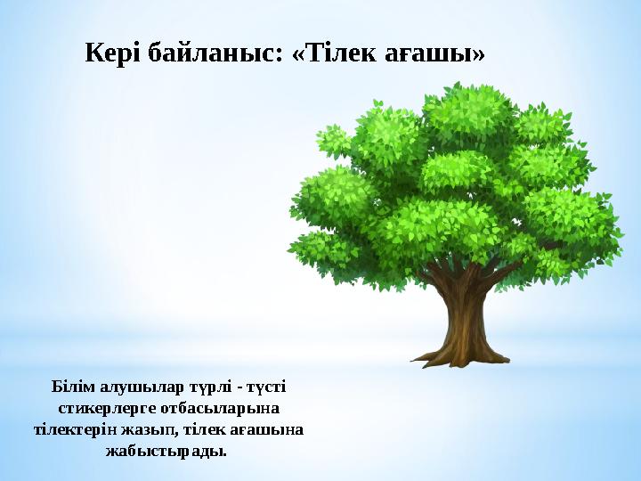 Кері байланыс: «Тілек ағашы» Білім алушылар түрлі - түсті стикерлер