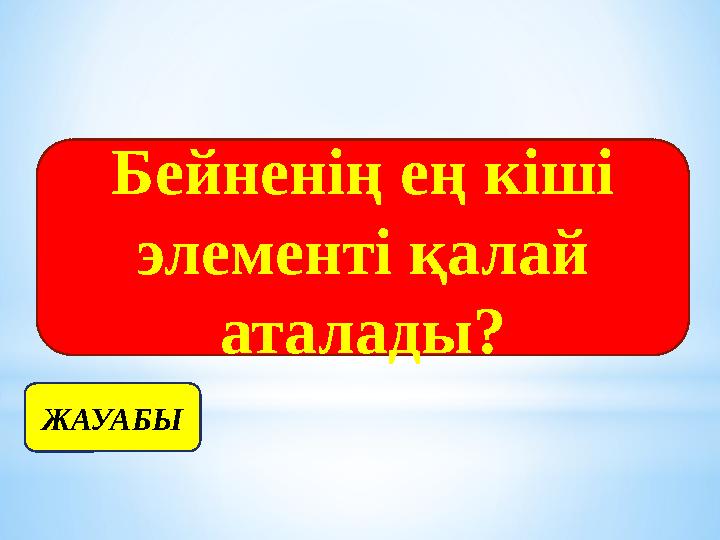 Бейненің ең кіші элементі қалай аталады? ЖАУАБЫ