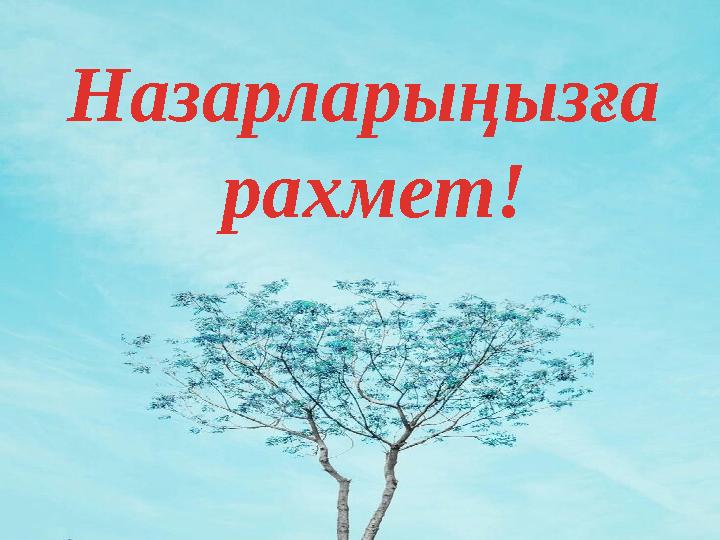 Назарларыңызға рахмет!