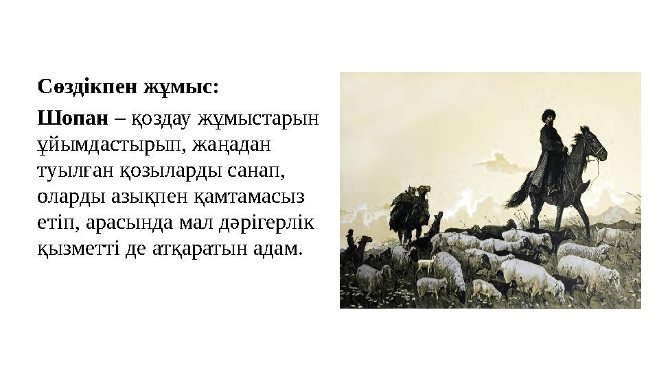 Сөздікпен жұмыс: Шопан – қоздау жұмыстарын ұйымдастырып, жаңадан туылған қозыларды санап, оларды азықпен қамтамасыз етіп, ар