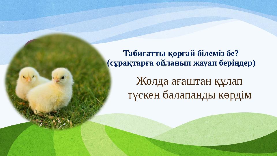 Жолда ағаштан құлап түскен балапанды көрдім Табиғатты қорғай білеміз бе? (сұрақтарға ойланып жауап беріңдер) Жолда ағаштан құлап түскен балапанды көрдім Табиғатты қорғай білеміз бе? (сұрақтарға ойланып жауап беріңдер)