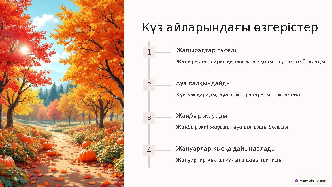 Күз айларындағы өзгерістер 1 Жапырақтар түседі Жапырақтар сары, қызыл және қоңыр түстерге боялады. 2 Ауа салқындайды Күн қысқара