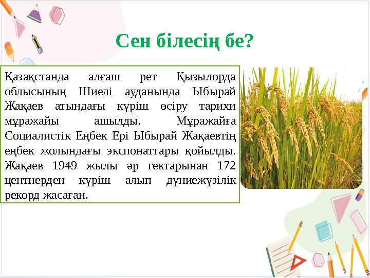 Сен білесің бе? Қазақстанда алғаш рет Қызылорда облысының Шиелі ауданында Ыбырай Жақаев атындағы күріш өсіру тарихи мұражайы