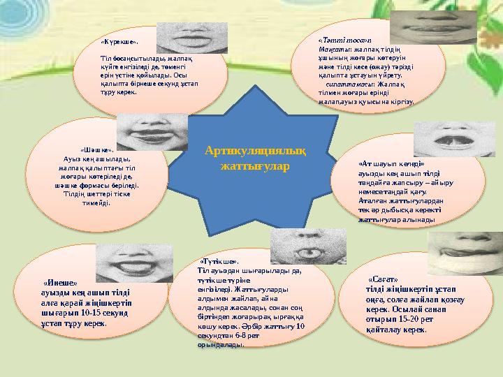 Артикуляциялық жаттығулар «Күрекше». Тіл босаңсытылады, жалпақ күйге енгізіледі де, төменгі ерін үстіне қойылады. Осы қалып