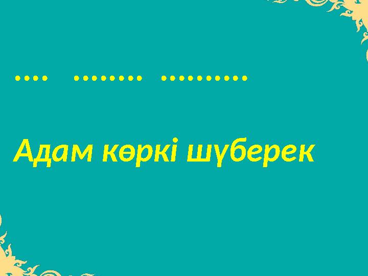 .... ........ .......... Адам көркі шүберек