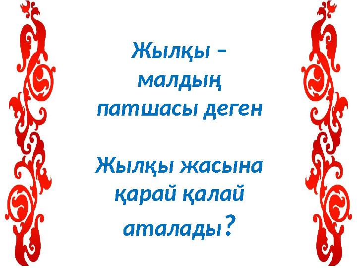 Жылқы – малдың патшасы деген Жылқы жасына қарай қалай аталады?
