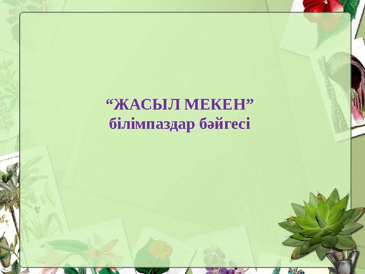 “ЖАСЫЛ МЕКЕН” білімпаздар бәйгесі