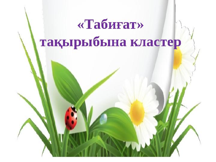 «Табиғат» тақырыбына кластер