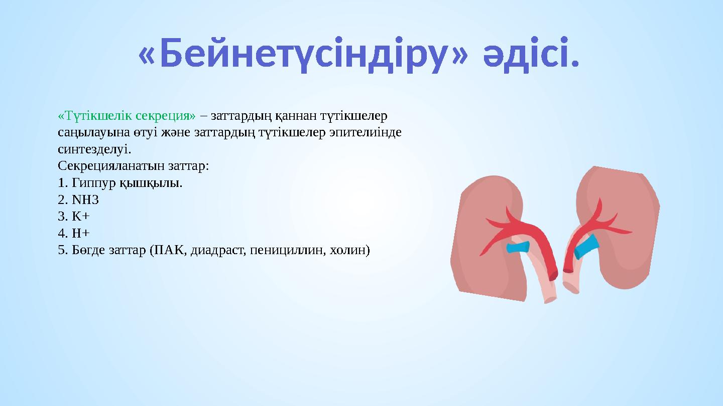«Бейнетүсіндіру» әдісі. «Түтікшелік секреция» – заттардың қаннан түтікшелер саңылауына өтуі және заттардың түтікшелер эпителиін