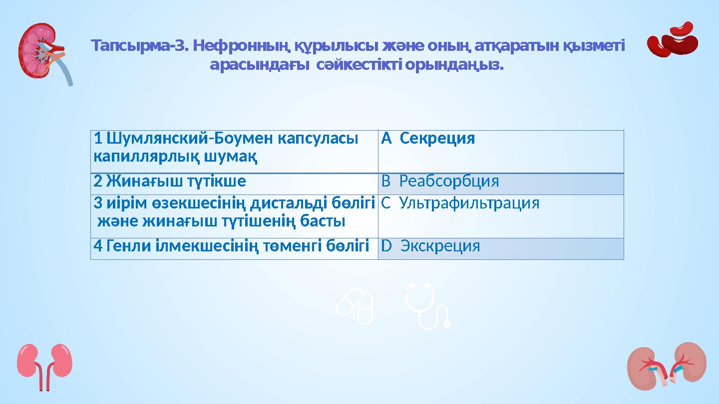 Тапсырма-3. Нефронның құрылысы және оның атқаратын қызметі арасындағы сәйкестікті орындаңыз. 1 Шумлянский-Боумен капсуласы ка