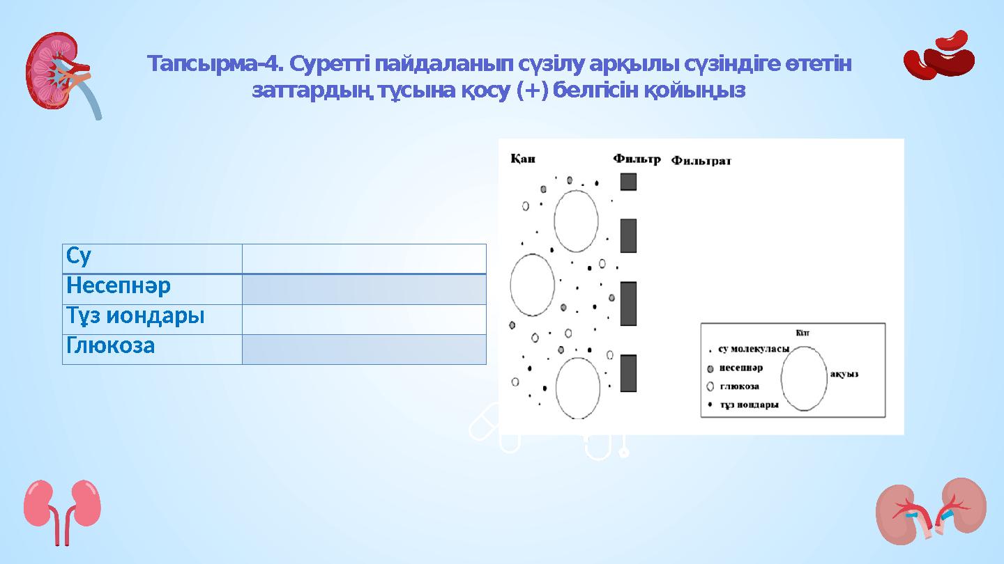 Тапсырма-4. Суретті пайдаланып сүзілу арқылы сүзіндіге өтетін заттардың тұсына қосу (+) белгісін қойыңыз Су Несепнәр Тұз и