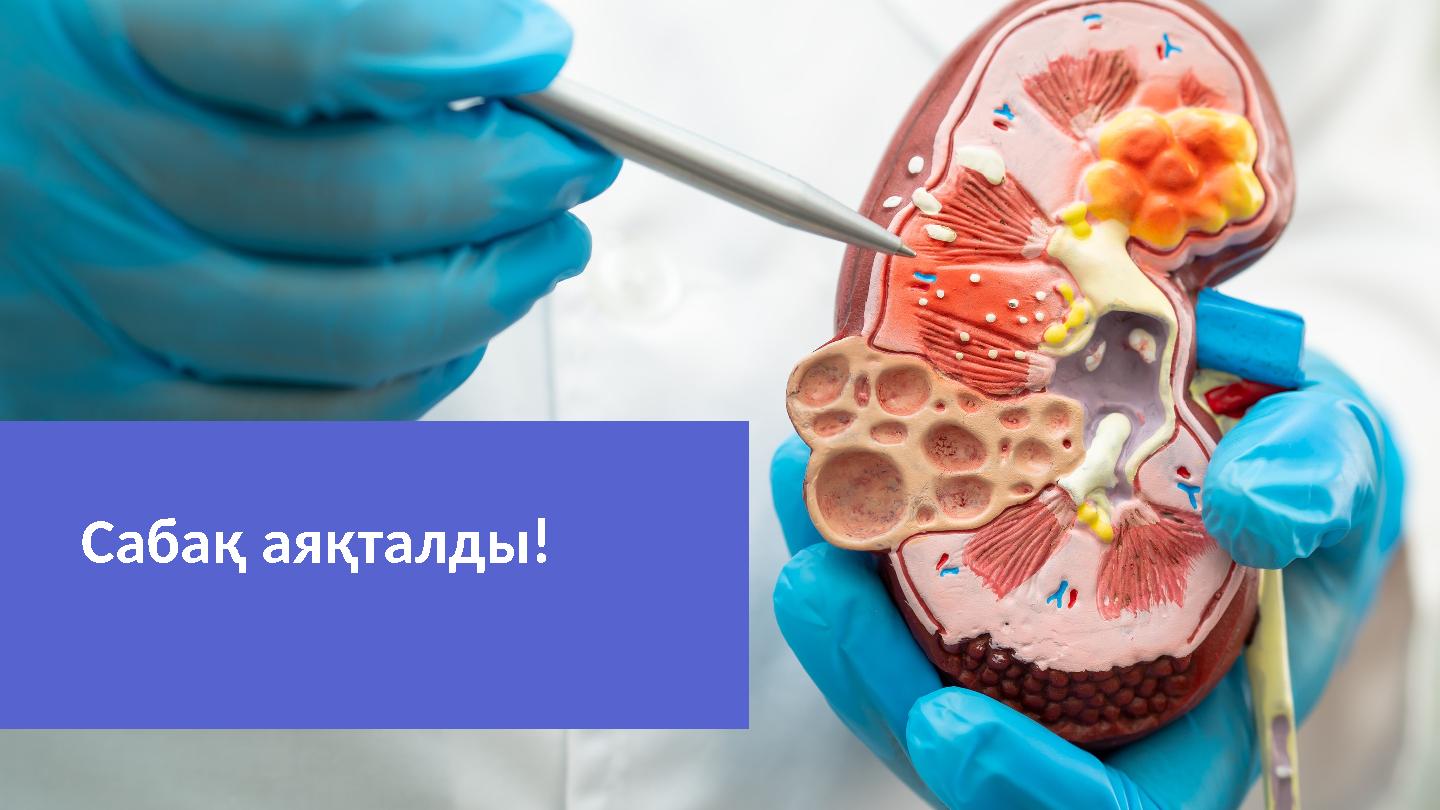 Сабақ аяқталды!