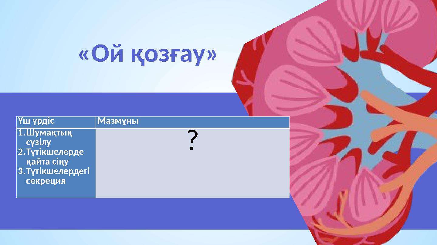 «Ой қозғау» 03 Үш үрдіс Мазмұны 1.Шумақтық сүзілу 2.Түтікшелерде қайта сіңу 3.Түтікшелердегі секреция ?