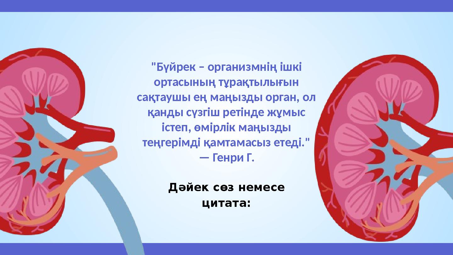 "Бүйрек – организмнің ішкі ортасының тұрақтылығын сақтаушы ең маңызды орган, ол қанды сүзгіш ретінде жұмыс істеп, өмірлік ма