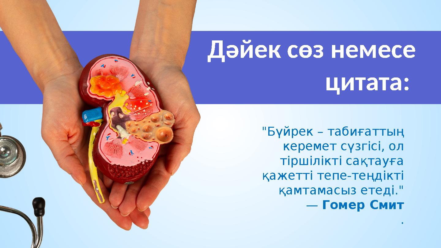 Дәйек сөз немесе цитата: "Бүйрек – табиғаттың керемет сүзгісі, ол тіршілікті сақтауға қажетті тепе-теңдікті қамтамасыз ете