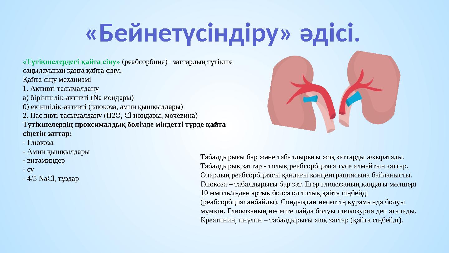 «Бейнетүсіндіру» әдісі. «Түтікшелердегі қайта сіңу» (реабсорбция)– заттардың түтікше саңылауынан қанға қайта сіңуі. Қайта сіңу