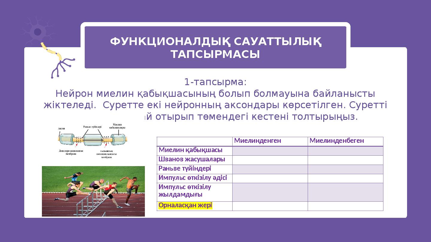 ФУНКЦИОНАЛДЫҚ САУАТТЫЛЫҚ ТАПСЫРМАСЫ 1-тапсырма: Нейрон миелин қабықшасының болып болмауына байланысты жіктеледі. Суретте екі