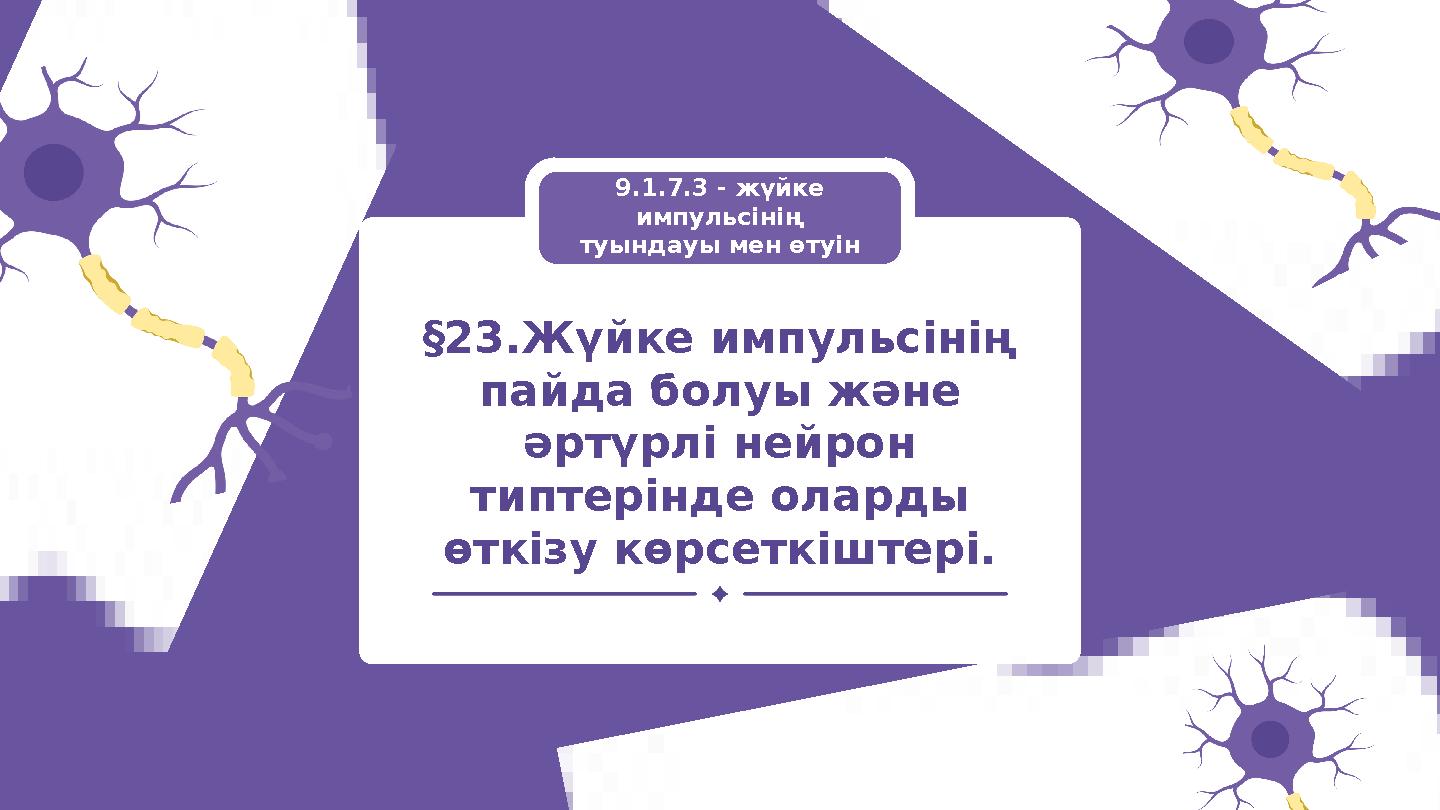 §23.Жүйке импульсінің пайда болуы және әртүрлі нейрон типтерінде оларды өткізу көрсеткіштері. 9.1.7.3 - жүйке импульсінің