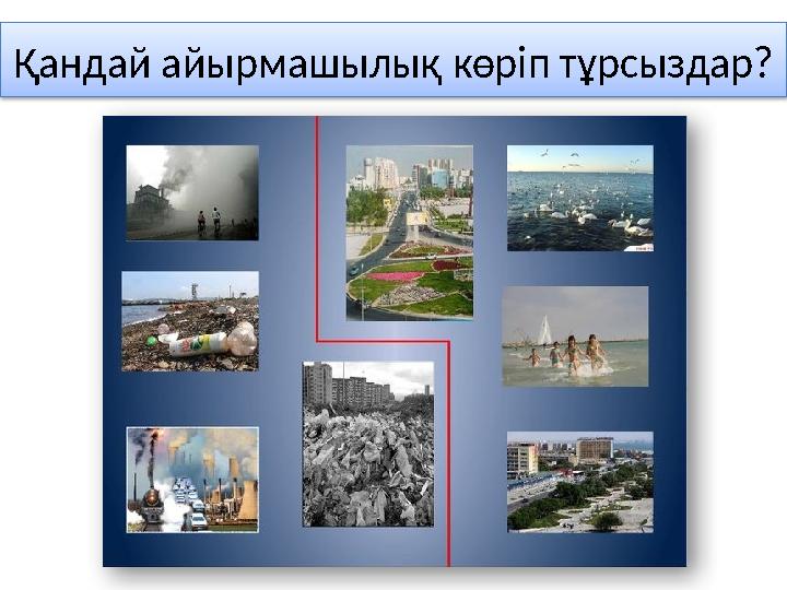 Қандай айырмашылық көріп тұрсыздар?