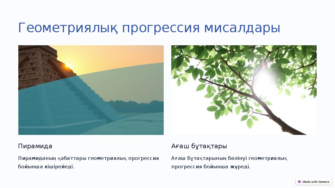 Геометриялық прогрессия мисалдары Пирамида Пирамиданың қабаттары геометриялық прогрессия бойынша кішірейеді. Ағаш бұтақтары Аға