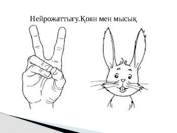 Нейрожаттығу.Қоян мен мысық