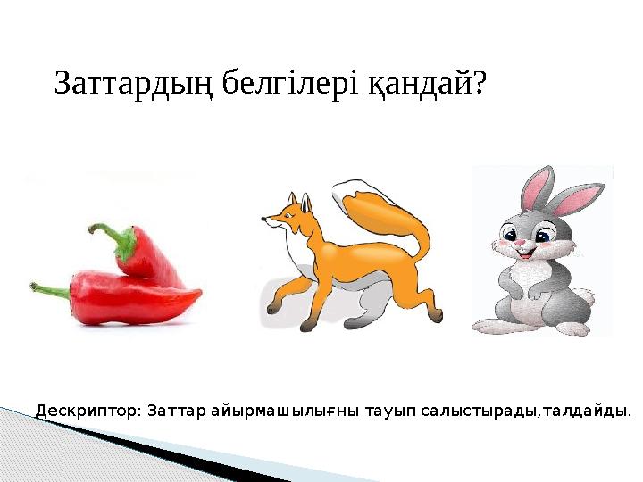 Заттардың белгілері қандай? Дескриптор: Заттар айырмашылығны тауып салыстырады,талдайды.