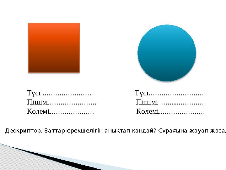 Түсі .......................... Түсі.............................. Пішімі.........................