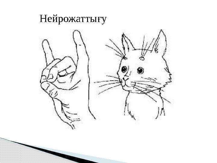 Нейрожаттығу