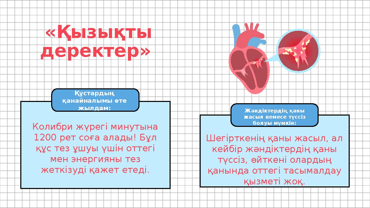 Шегірткенің қаны жасыл, ал кейбір жәндіктердің қаны түссіз, өйткені олардың қанында оттегі тасымалдау қызметі жоқ. «Қызықты Шегірткенің қаны жасыл, ал кейбір жәндіктердің қаны түссіз, өйткені олардың қанында оттегі тасымалдау қызметі жоқ. «Қызықты