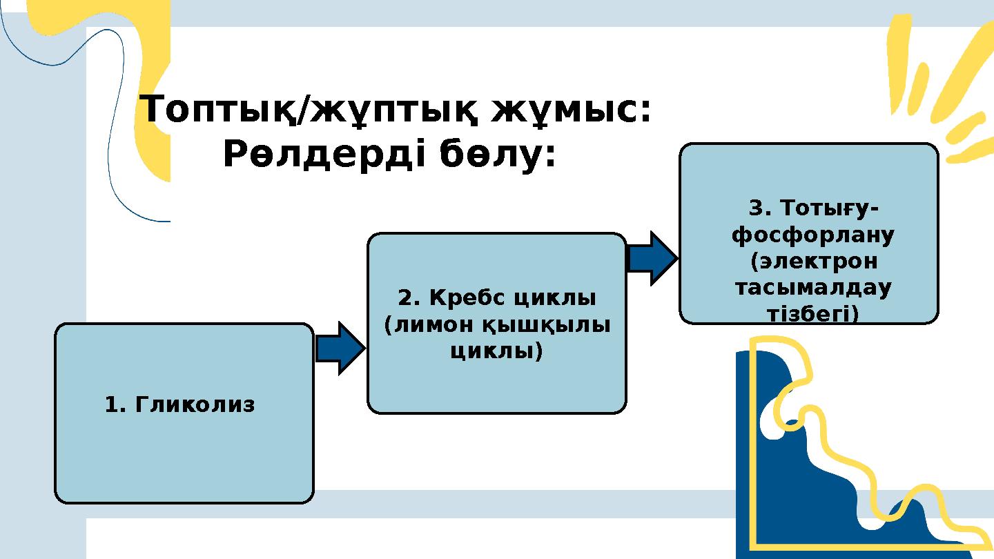 1. Гликолиз 2. Кребс циклы (лимон қышқылы циклы) 3. Тотығу- фосфорлану (электрон тасымалдау тізбегі) Топтық/жұптық жұмыс: