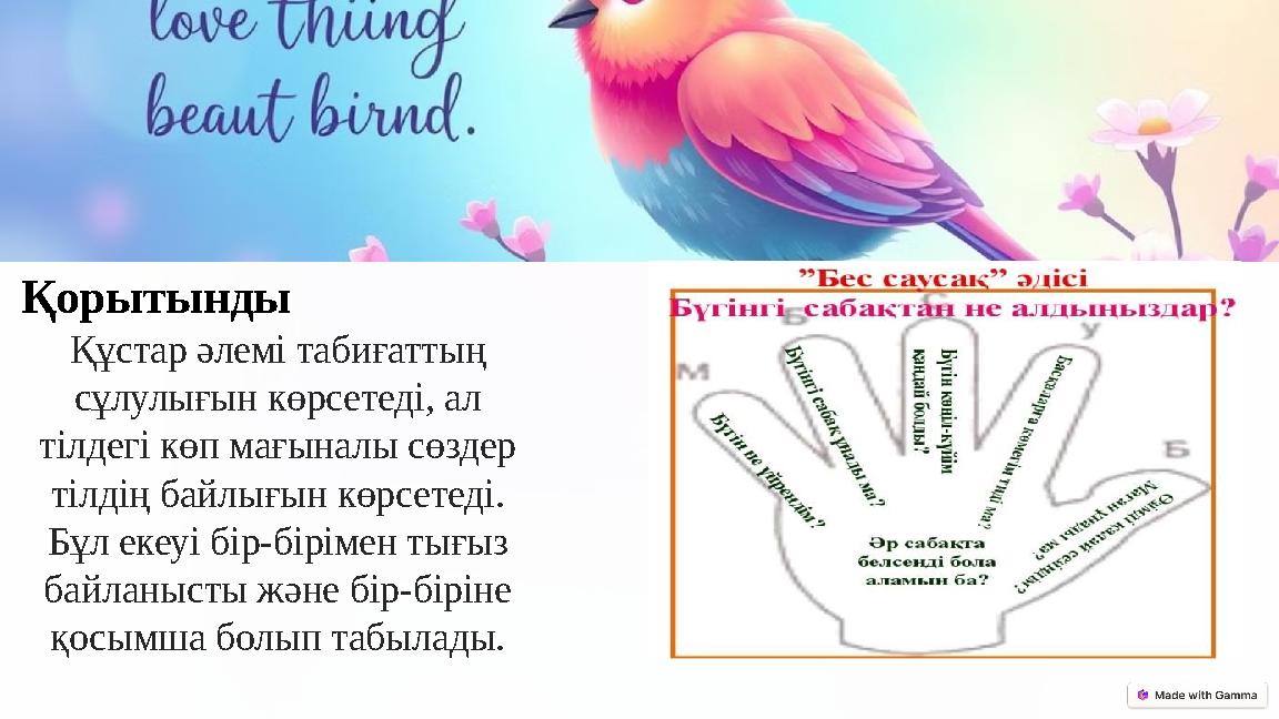 Қорытынды Құстар әлемі табиғаттың сұлулығын көрсетеді, ал тілдегі көп мағыналы сөздер тілдің байлығын көрсетеді. Бұл екеуі