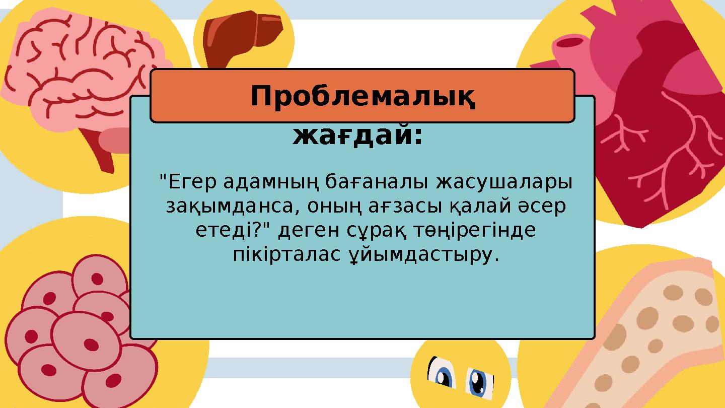 "Егер адамның бағаналы жасушалары зақымданса, оның ағзасы қалай әсер етеді?" деген сұрақ төңірегінде пікірталас ұйымдастыру.