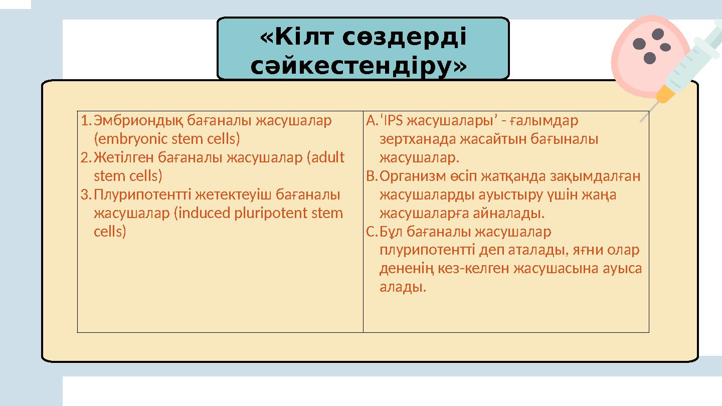 «Кілт сөздерді сәйкестендіру» 1.Эмбриондық бағаналы жасушалар (embryonic stem cells) 2.Жетілген бағаналы жасушалар (adult