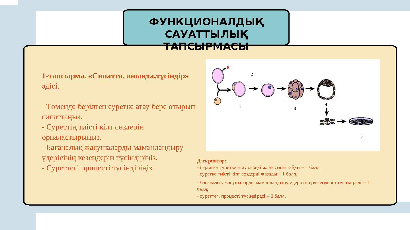 ФУНКЦИОНАЛДЫҚ САУАТТЫЛЫҚ ТАПСЫРМАСЫ 1-тапсырма. «Сипатта, анықта,түсіндір» әдісі. - Төменде берілген суретке атау бере от