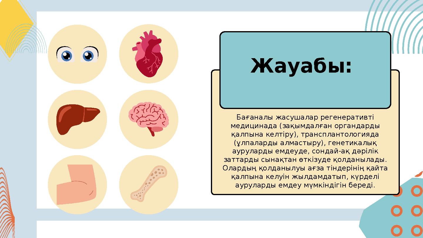 Бағаналы жасушалар регенеративті медицинада (зақымдалған органдарды қалпына келтіру), трансплантологияда (ұлпаларды алмастыр