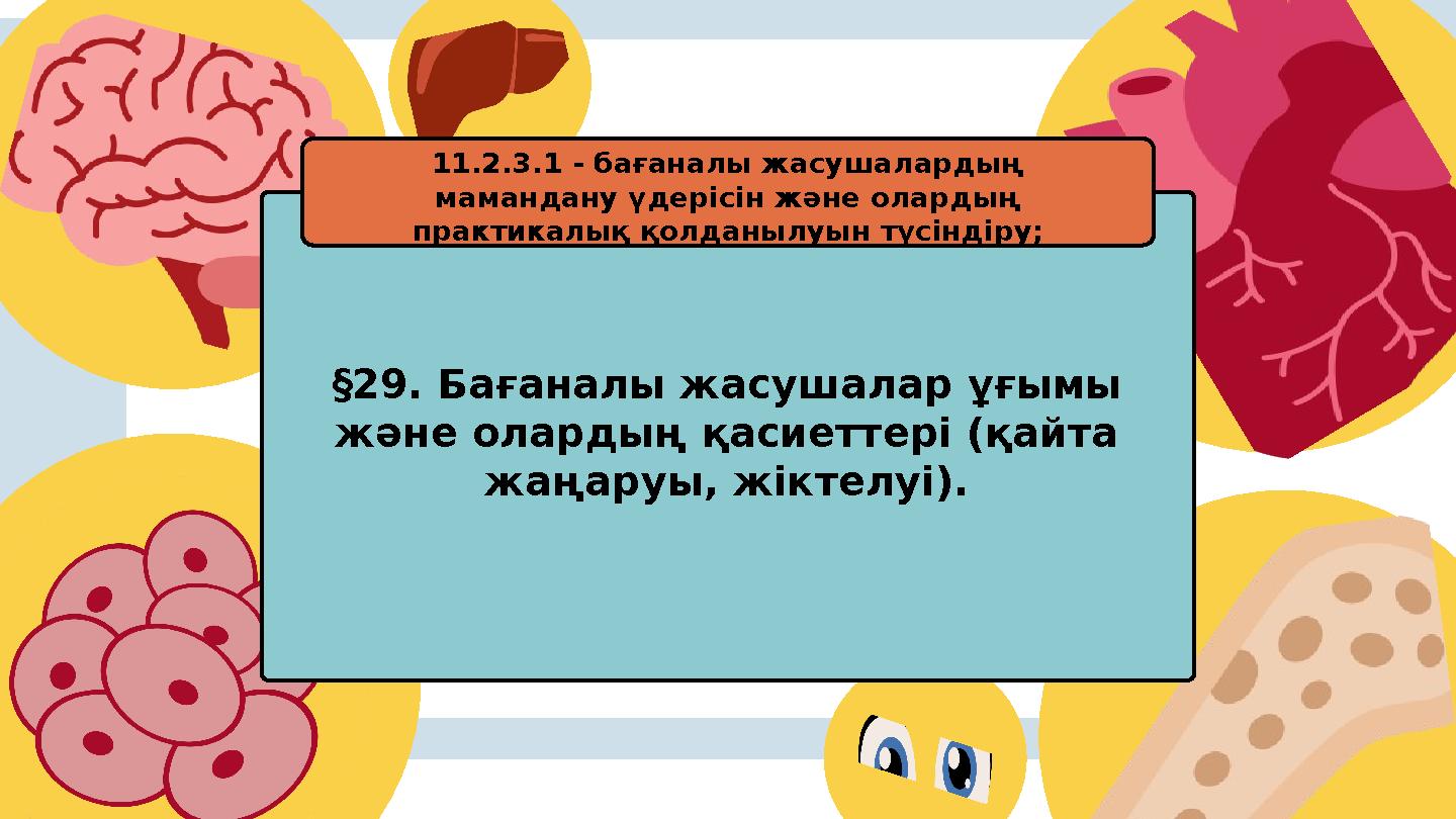 §29. Бағаналы жасушалар ұғымы және олардың қасиеттері (қайта жаңаруы, жіктелуі). 11.2.3.1 - бағаналы жасушалардың мамандану