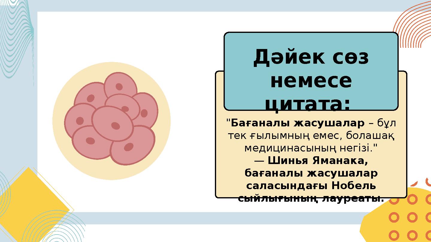 "Бағаналы жасушалар – бұл тек ғылымның емес, болашақ медицинасының негізі." — Шинья Яманака, бағаналы жасушалар саласындағы