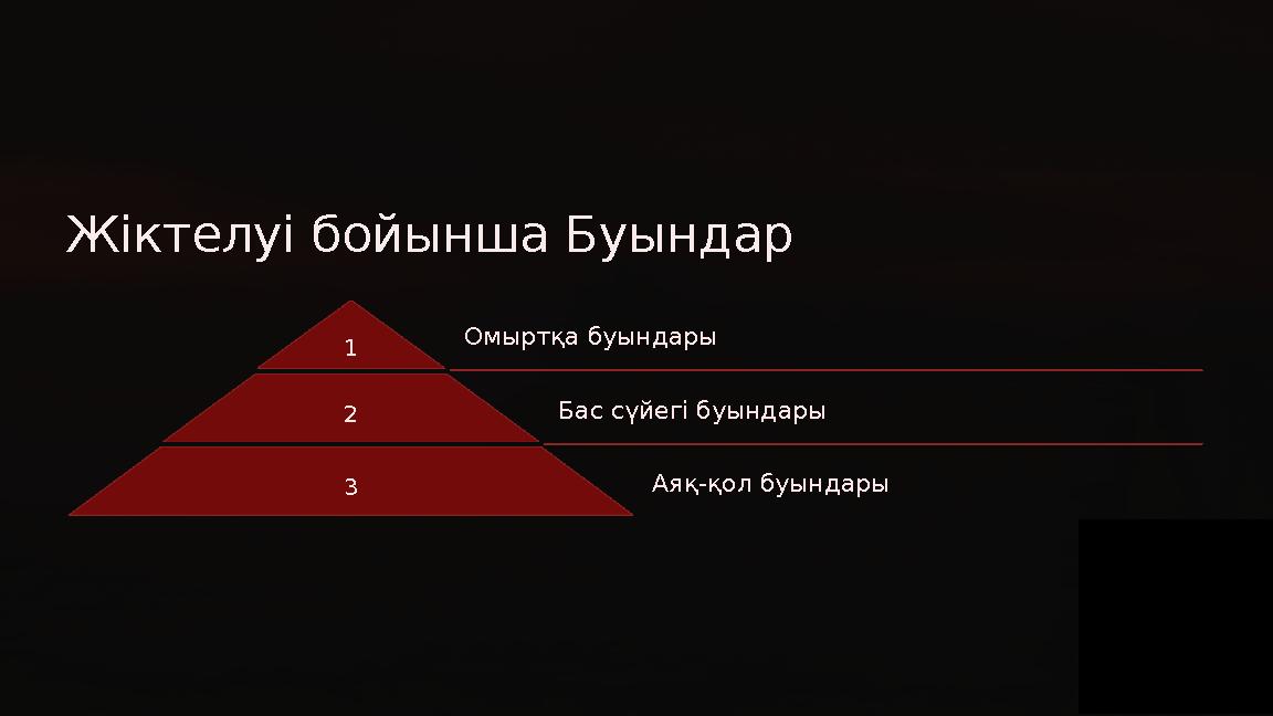 Жіктелуі бойынша Буындар 1 Омыртқа буындары 2 Бас сүйегі буындары 3 Аяқ-қол буындары