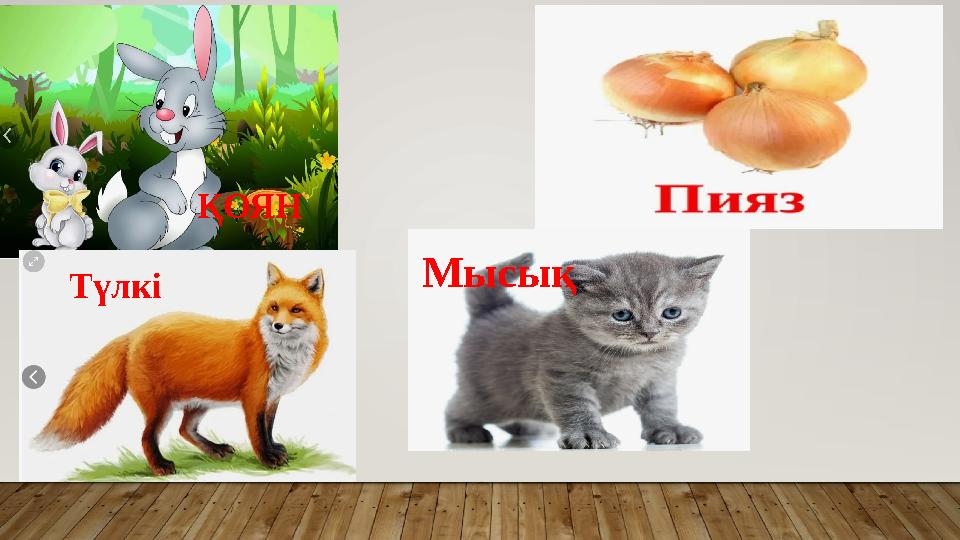 ҚОЯН Түлкі Мысық