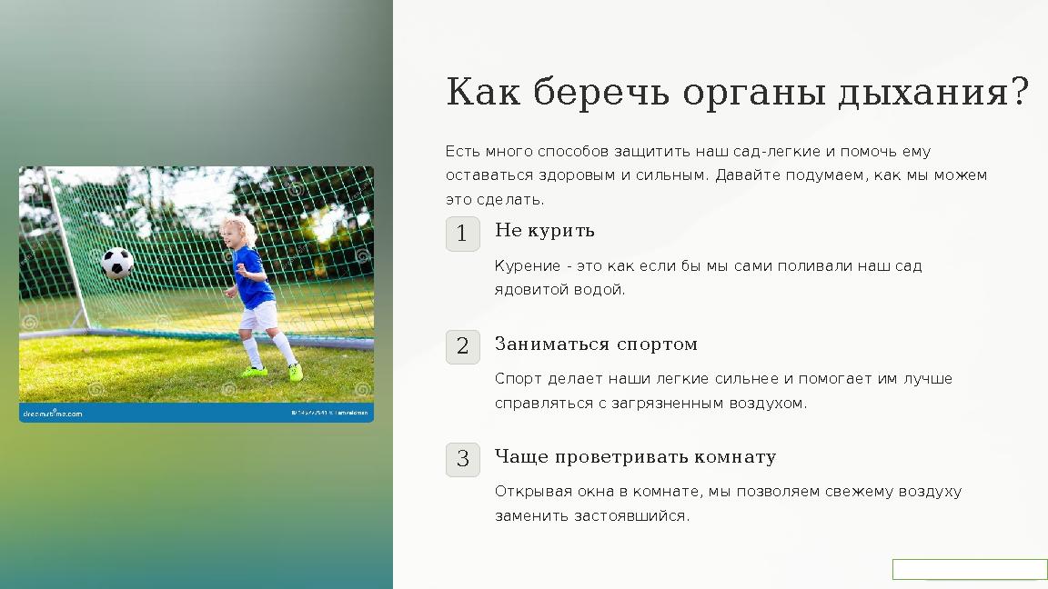 Как беречь органы дыхания? Есть много способов защитить наш сад-легкие и помочь ему оставаться здоровым и сильным. Давайте под