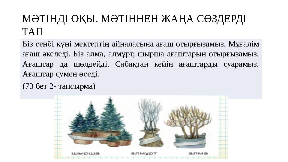 МӘТІНДІ ОҚЫ. МӘТІННЕН ЖАҢА СӨЗДЕРДІ ТАП Біз сенбі күні мектептің айналасына ағаш отырғызамыз. Мұғалім ағаш әкеледі. Біз алма,