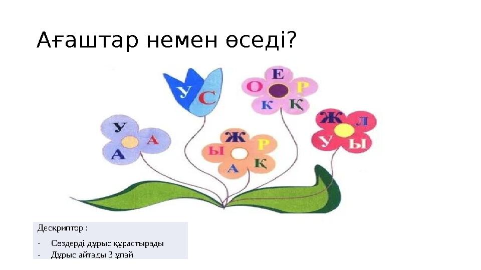 Ағаштар немен өседі? Дескриптор : -Сөздерді дұрыс құрастырады -Дұрыс айтады 3 ұпай