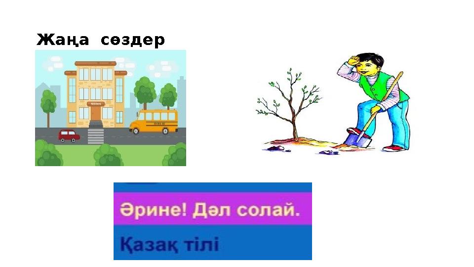 Жаңа сөздер