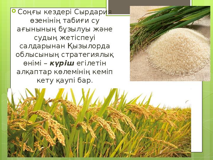 Соңғы кездері Сырдария өзенінің табиғи су ағынының бұзылуы және судың жетіспеуі