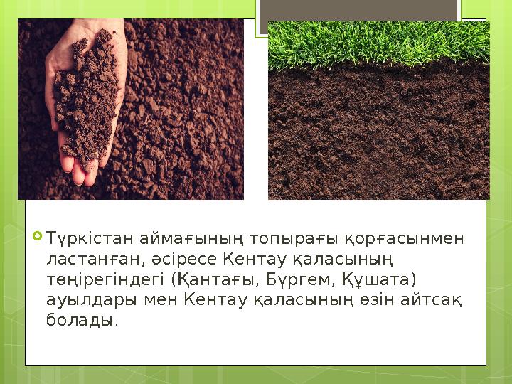 Түркістан аймағының топырағы қорғасынмен ластанған, әсіресе Кентау қаласының төңі