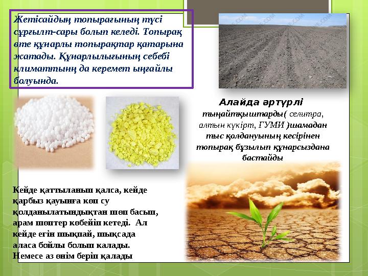 Жетісайдың топырағының түсі сұрғылт-сары болып келеді. Топырақ өте құнарлы топыра